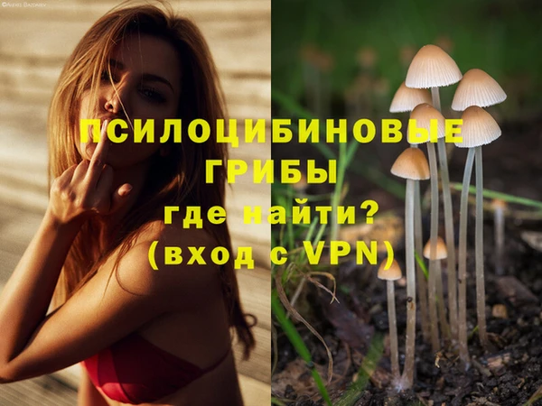 гашиш Ладушкин