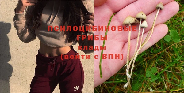 марки nbome Лагань