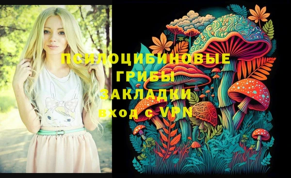 первитин Лиски