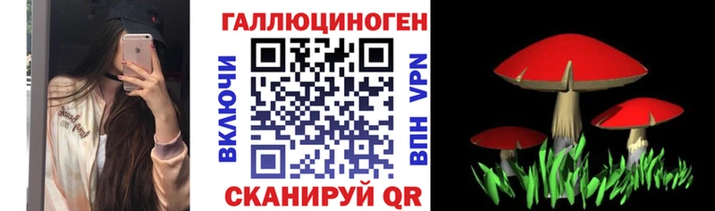 Псилоцибиновые грибы GOLDEN TEACHER  Невель 